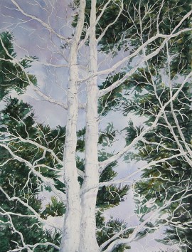 Paper Birch, Watercolor by New View of New View