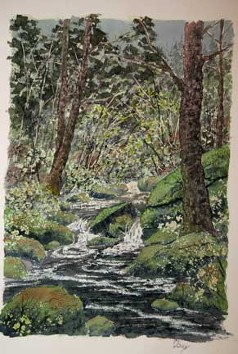 Hidden Brook, Watercolor by Doug DeWolfe of New View