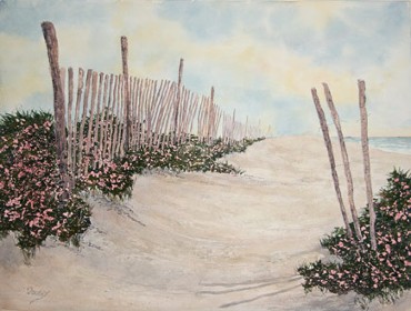 Beach Roses, Watercolor by Doug DeWolfe of New View