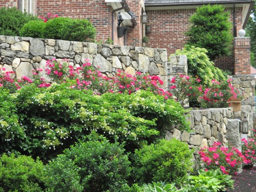 Naturalized Planting with Stone Retaining Walls by New View