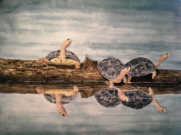 Turtles, Watercolor by Doug DeWolfe of New View