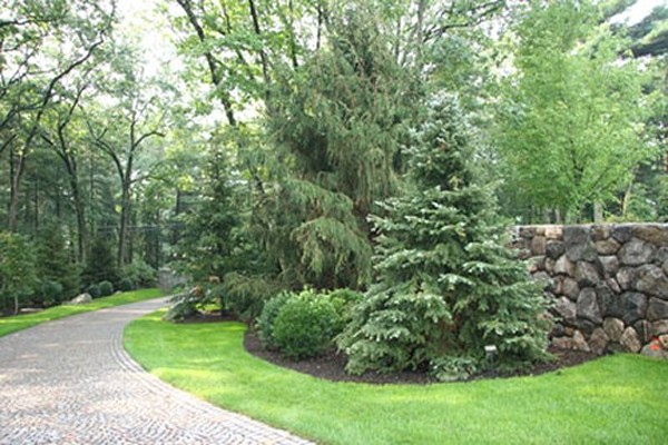 Cobblestone Drive, Stone Wall and Landscape Plants-trees by New View, Inc.