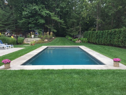 Rectangular pool with travertine coping and plenty of luxurious lawn_New View, Inc.